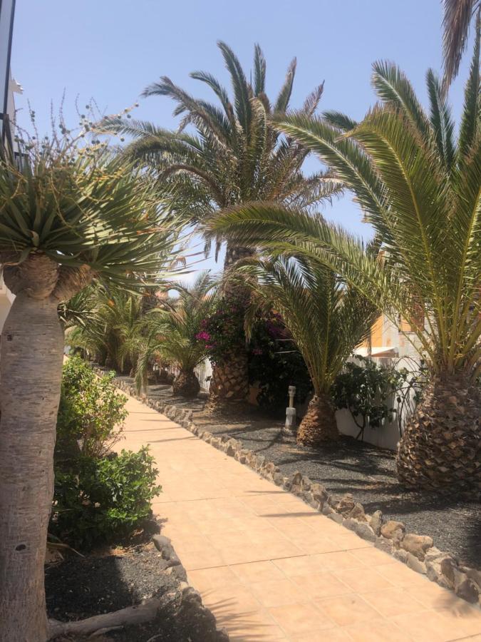Apartamento Smile Complex Amaya Fuerteventura Коста-де-Антіґуа Екстер'єр фото