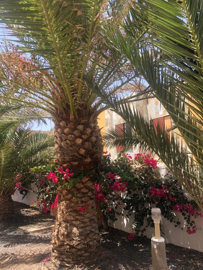 Apartamento Smile Complex Amaya Fuerteventura Коста-де-Антіґуа Екстер'єр фото